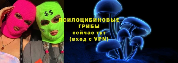 круглые Алзамай