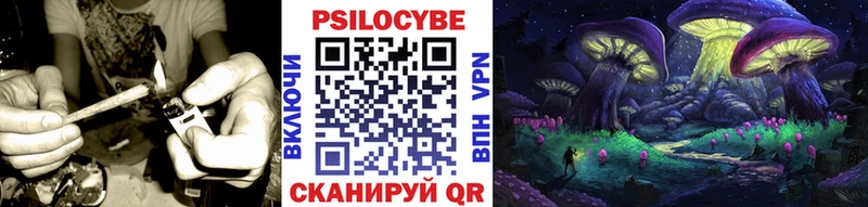 где можно купить   Анжеро-Судженск  KRAKEN маркетплейс  Галлюциногенные грибы ЛСД 